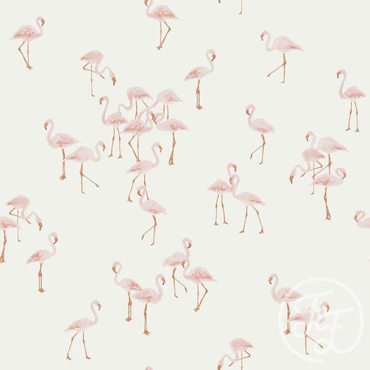 Family fabrics Jersey Flamingo